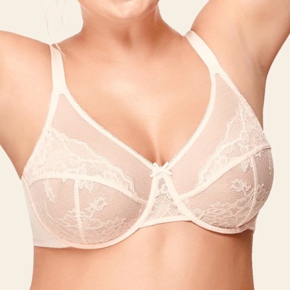 HSIA Enchante Full Support Lace Underwire Bra - Picture 1 of 10